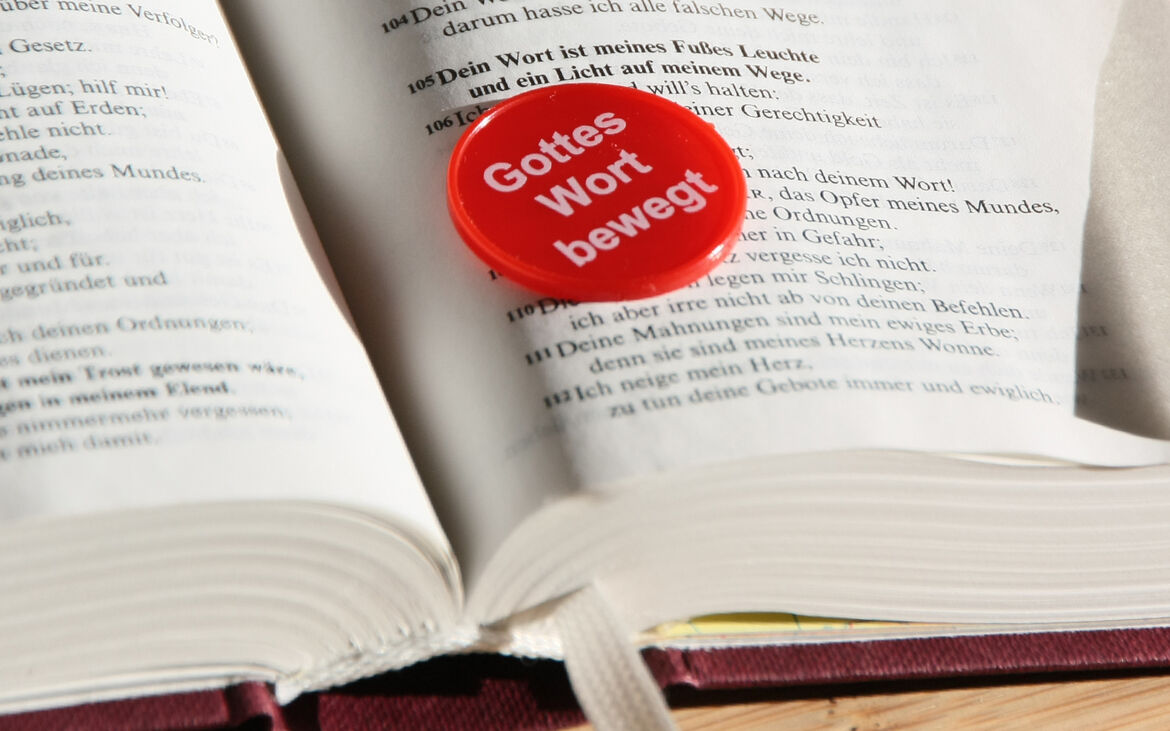 2016 Bibel